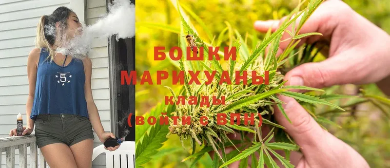 Бошки марихуана планчик  ОМГ ОМГ зеркало  Осташков  как найти  